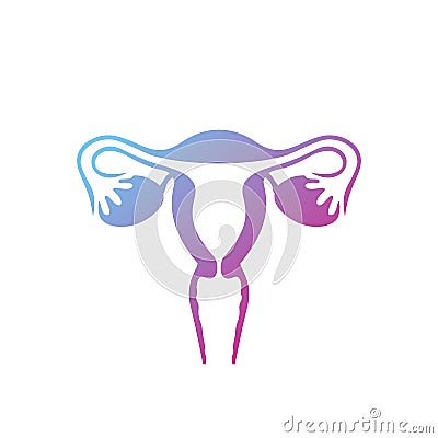 Female uterus with ovaries on a white background Stock Photo