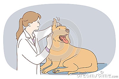 Female vet examine big dog in clinic Vector Illustration