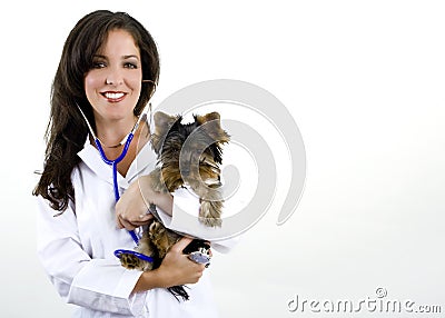 Female veterinarian Stock Photo