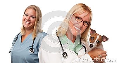Female Veterinarian Doctors with Small Puppy Stock Photo