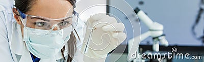 Female Woman Research Scientist With Test Tube In Laboratory Panorama Stock Photo