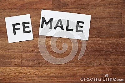 Female word, divided. Conceptual image about gender identity and transgender Stock Photo