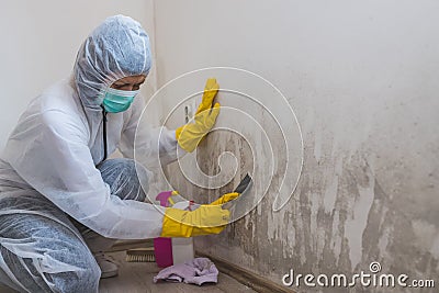 Female worker of cleaning service removes mold from wall using spray bottle with mold remediation chemicals and scraper tool Stock Photo