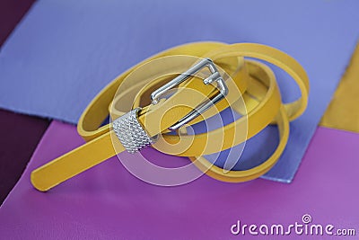 Female yellow belt with silver metal fittings closeup, set of colorful samples of fashion genuine leather, modern Stock Photo