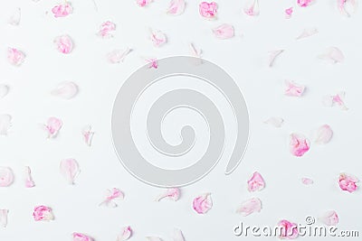 Feminine flat lay frame pink peony petals Stock Photo