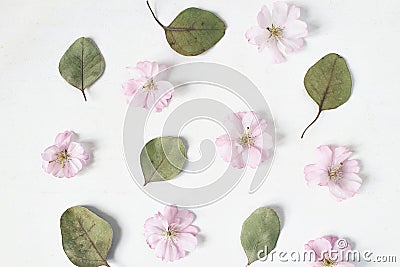 Feminine floral pattern. Dry eucalyptus leaves and pink Japanese cherry tree blossoms on old white wooden table Stock Photo