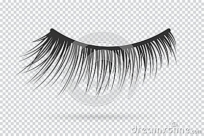 Feminine lashes vector. False eyelashes Vector Illustration