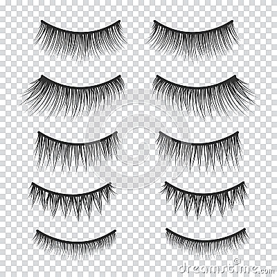 Feminine lashes vector set. False eyelashes Vector Illustration