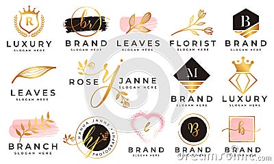 Feminine logo collections template vector Vector Illustration