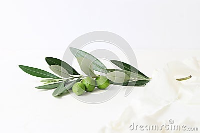 Feminine styled stock photography. Closeup of olive branch decorated by silk ribbon on white table background Stock Photo