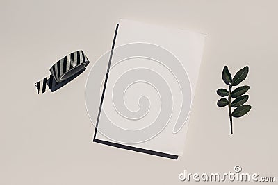 Feminine summer stationery still life. Blank greeting card mockup scene with striped washi tape and green lentisk leaf Stock Photo