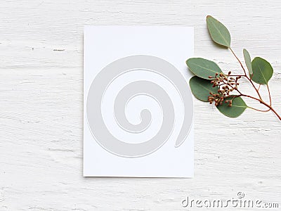 Feminine wedding desktop mock-up with blank paper card and Eucalyptus populus branch on white shabby table background Stock Photo