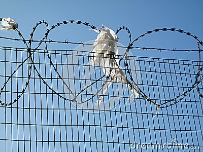 Barbed & razor wire security protection on fence Stock Photo