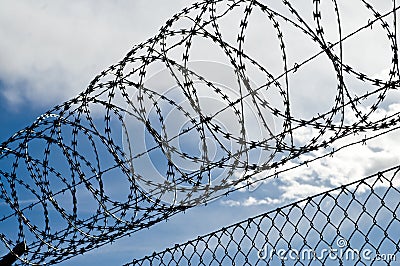Barbed Wire Fence Prison Barbed Wire Fence Prison