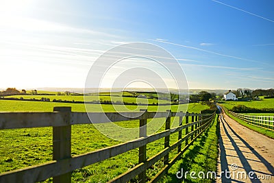 Fence casting shadows on a road leading to small house between scenic Cornish fields under blue sky, Cornwall, England Stock Photo