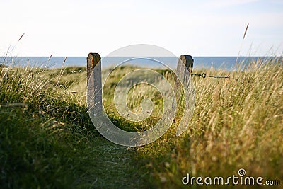 Fence with gate in the field like dunes Stock Photo