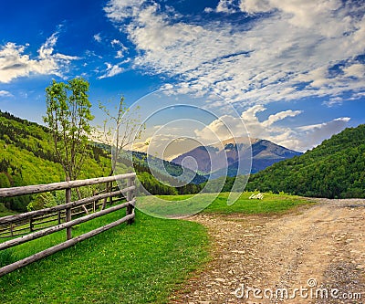 Fence on hillside meadow in mountain Stock Photo