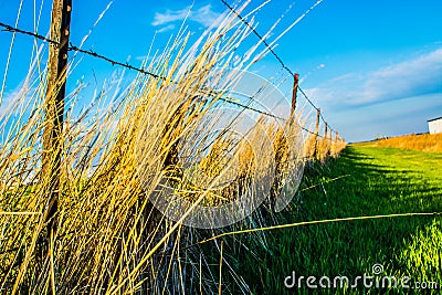 Fence line Stock Photo