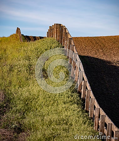 Fence line through the field Stock Photo