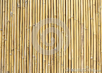fence made of bamboo Stock Photo