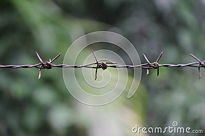 Fence made of barbed wire Stock Photo