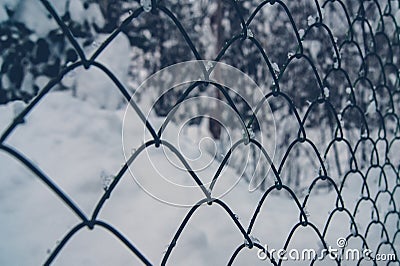 Fence mesh chain-link in winter Stock Photo