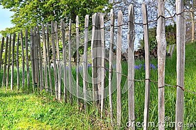 fence in natural wood posts protecting in a garden Stock Photo