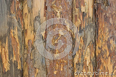 Fence, palings of unrefined wood. Stock Photo