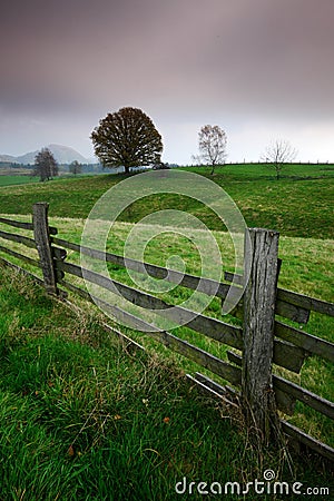 Fence in the pasture with trees, rain weather, Bohemian Switzerland, Czech republic Stock Photo