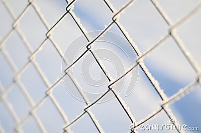 Fence of Rabitz is covered with frost Stock Photo