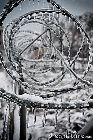 Fence with sharp barbed wire Stock Photo