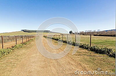 Fenced Rural Farm Dirt Road Running Next to Meadow Stock Photo