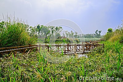 Fenced wooden footbridge along verdant lakeshore in sunny spring Stock Photo