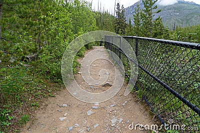 Fencing along the trail to Marble Canyon in Kootenay National Park Canada Stock Photo