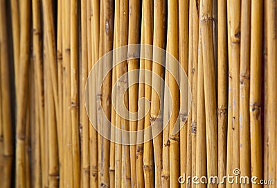 Fencing bamboo panel Stock Photo