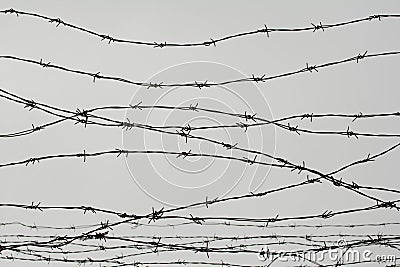 Fencing. Fence with barbed wire. Let. Jail. Thorns. Block. A prisoner. Holocaust. Concentration camp. Prisoners. Depressive Stock Photo