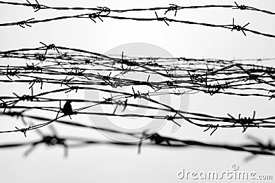 Fencing. Fence with barbed wire. Let. Jail. Thorns. Block. A prisoner. Holocaust. Concentration camp. Prisoners Stock Photo