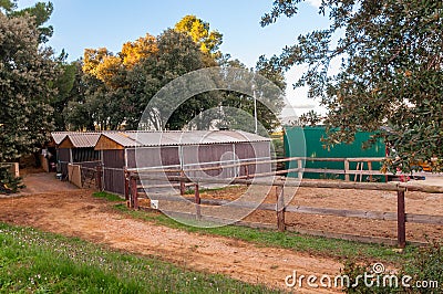 Fencing for horses Stock Photo