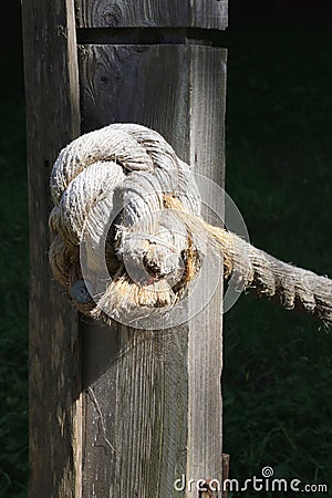 Tied knot in a wooden fence post with frayed rope. Stock Photo