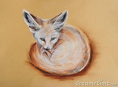 Fennec fox Stock Photo