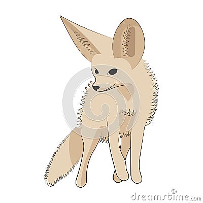 Fennec fox vector illustration Vector Illustration