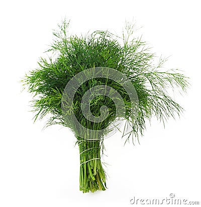 Fennel Stock Photo