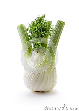 Fennel bulb with leaves Stock Photo