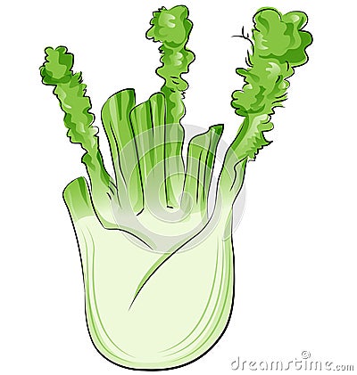 Fennel cartoon isolated Vector Illustration