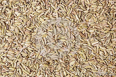 Fennel dill seeds as food background Stock Photo