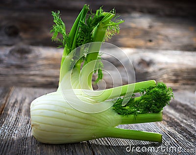 Fennel Stock Photo