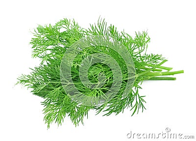 Fennel herbs Stock Photo