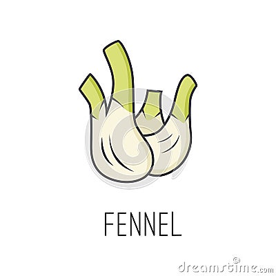 Fennel line vector illustration, cooking isolated icon. Vector Illustration