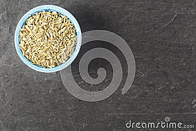 Fennel Seeds Stock Photo