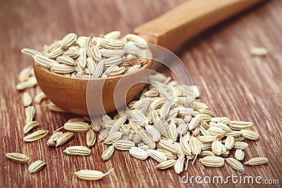 Fennel seeds Stock Photo